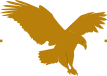 AFP-ICON