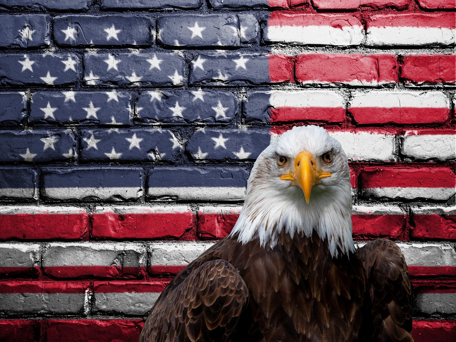 bald eagle in front of a brick wall painted like the american flag